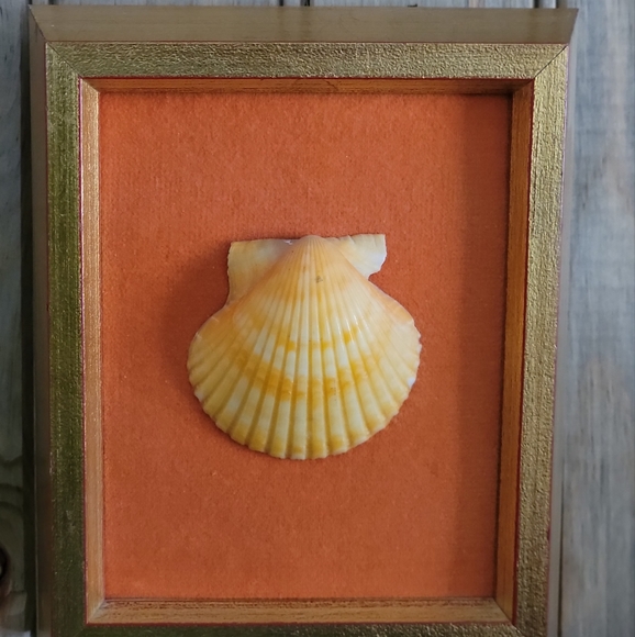 Vintage shell art - Picture 2 of 4